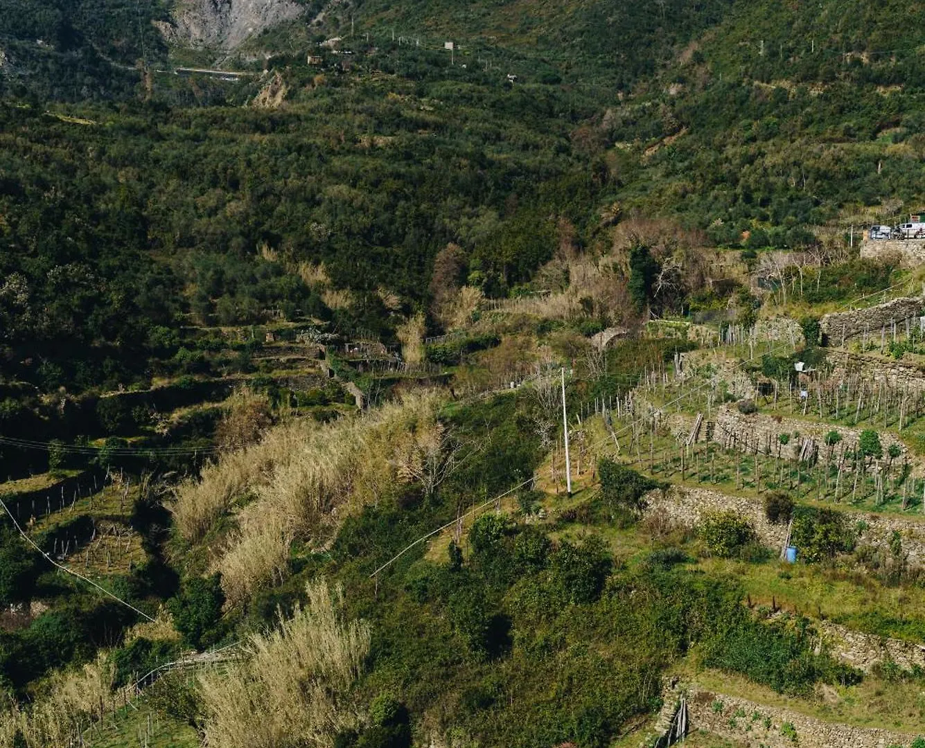 Hotel Punto Zero Corniglia 3*,  Italia